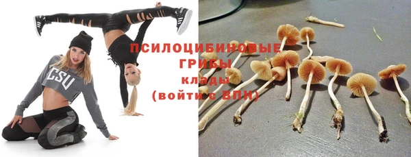 2c-b Богородицк