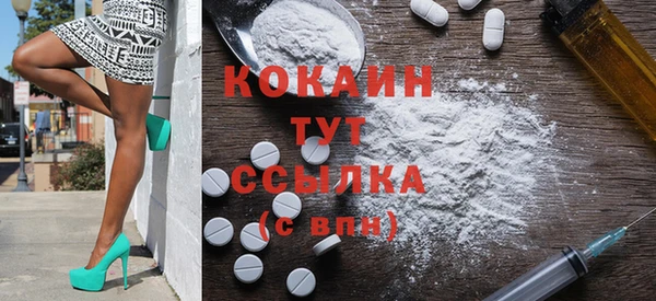 2c-b Богородицк