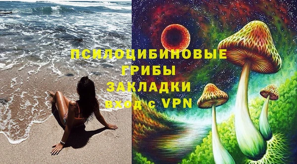2c-b Богородицк