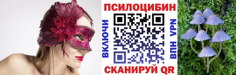 Галлюциногенные грибы Magic Shrooms  Холмск 